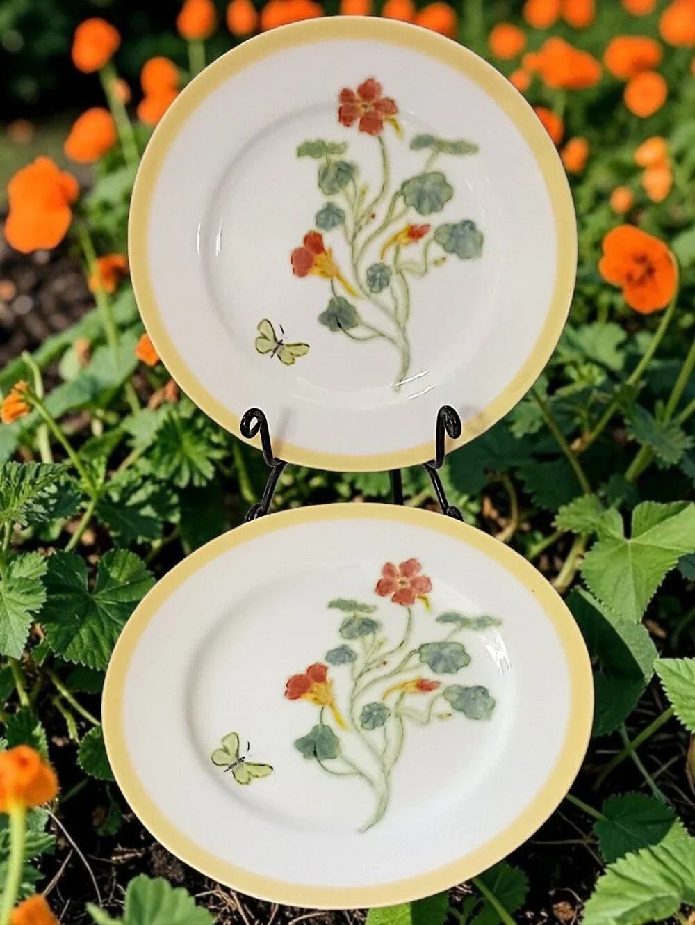 2 Williams Sonoma Flowering Herbs Salad Plates Purple Herb Flowers Nasturtium